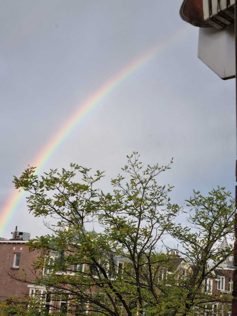 Regenboog (deprimerend)